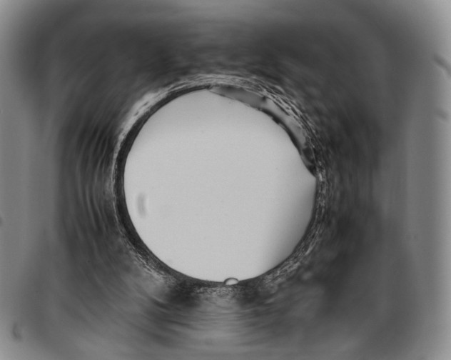 X0000096670104200803041228