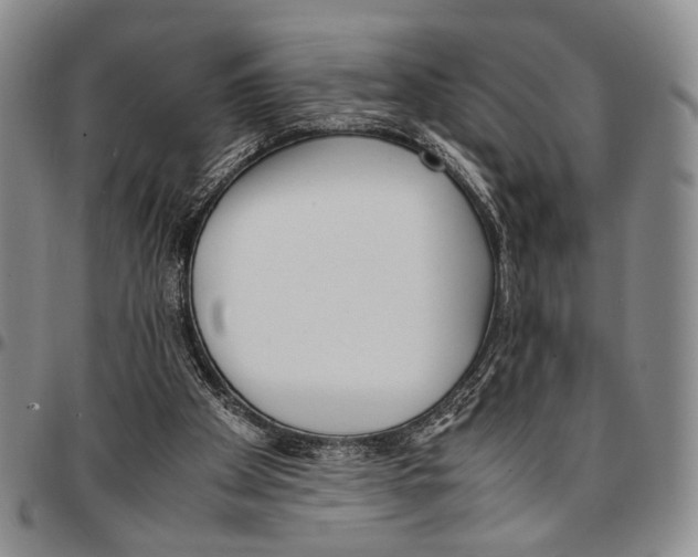 X0000096670105200803041228