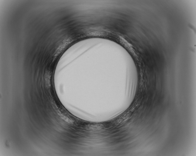 X0000096670106200803041228