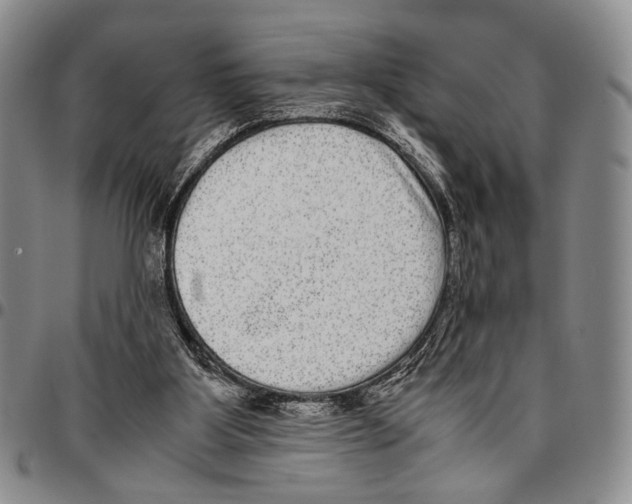 X0000096670107200803041228