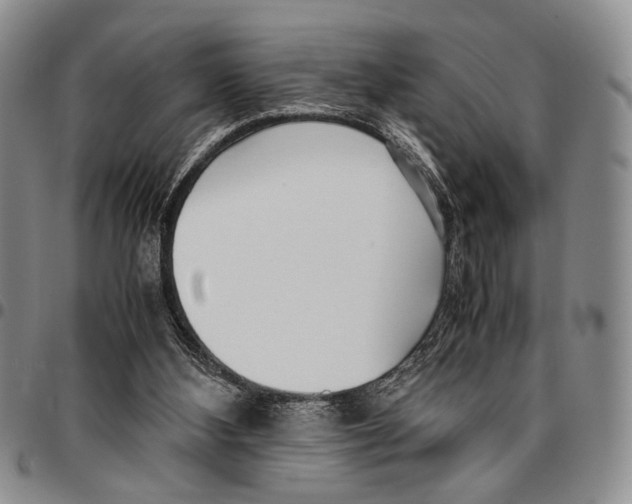 X0000096670108200803041228