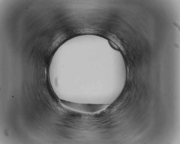 X0000096670109200803041228