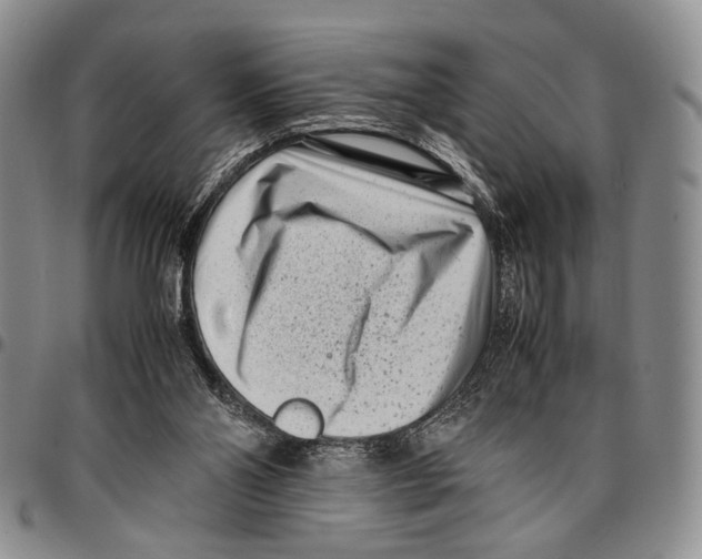 X0000096670110200803041228