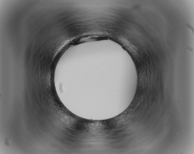 X0000096670112200803041228