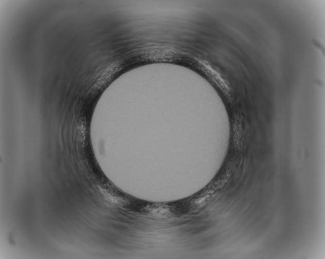X0000096670113200803041228
