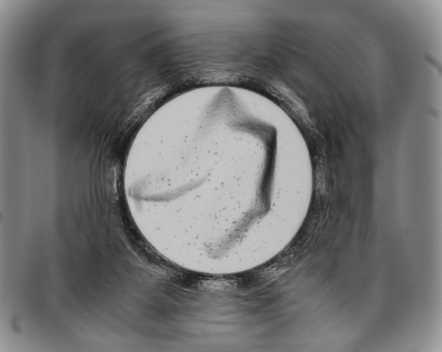 X0000096670115200803041228