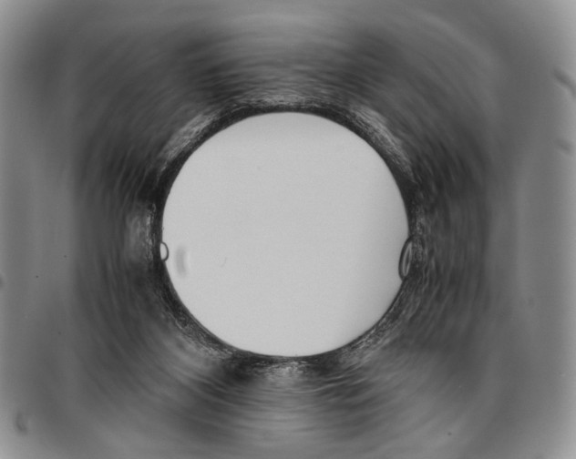 X0000096670116200803041228