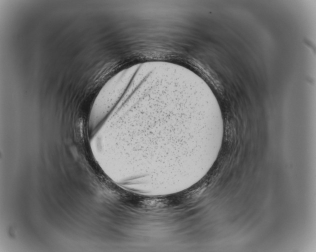 X0000096670117200803041228