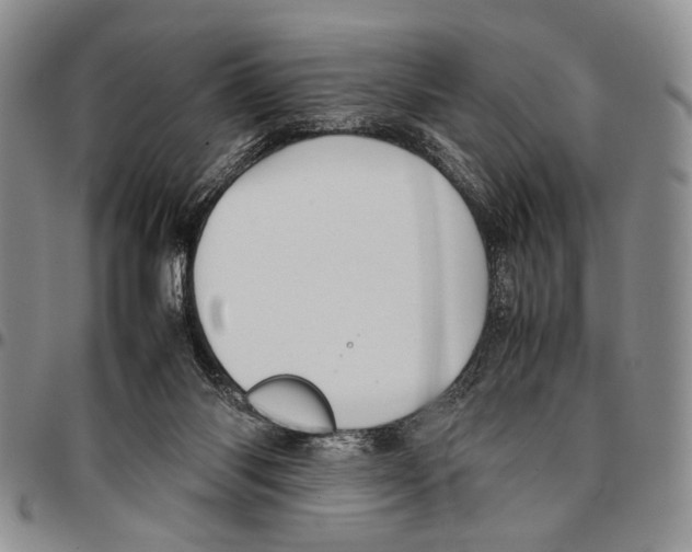 X0000096670118200803041228