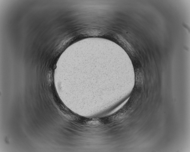 X0000096670119200803041228