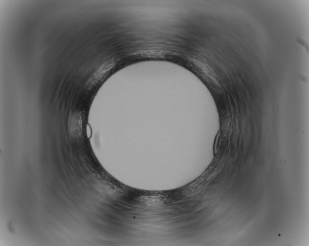 X0000096670120200803041228