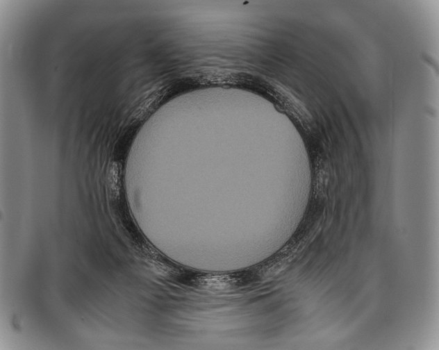 X0000096670121200803041228