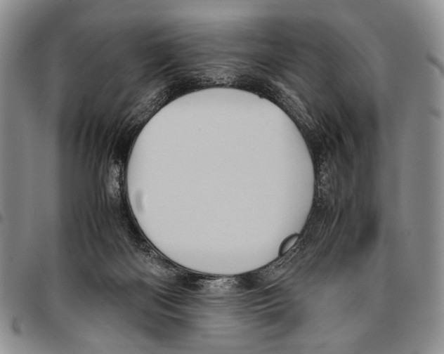 X0000096670122200803041228