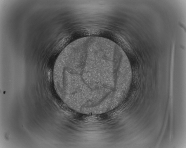 X0000096670123200803041228