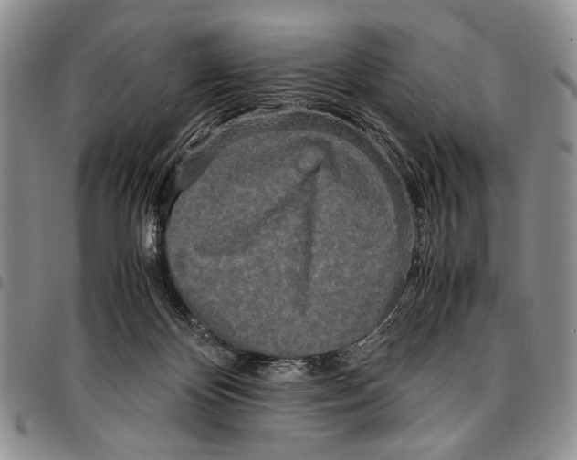 X0000096670124200803041228