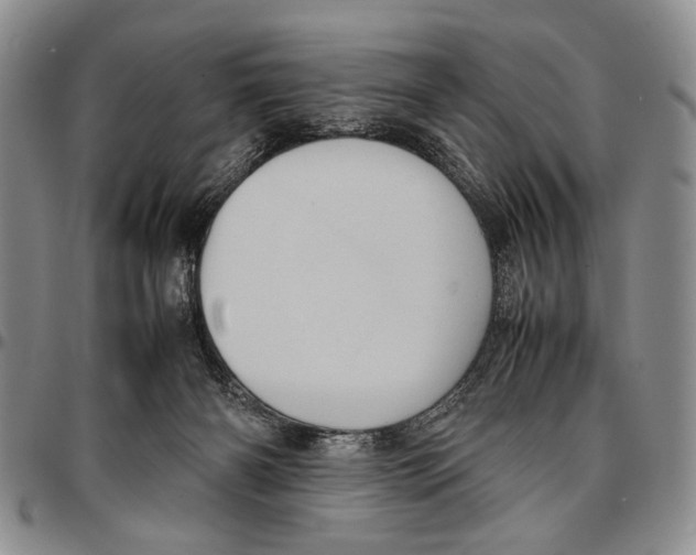 X0000096670126200803041228