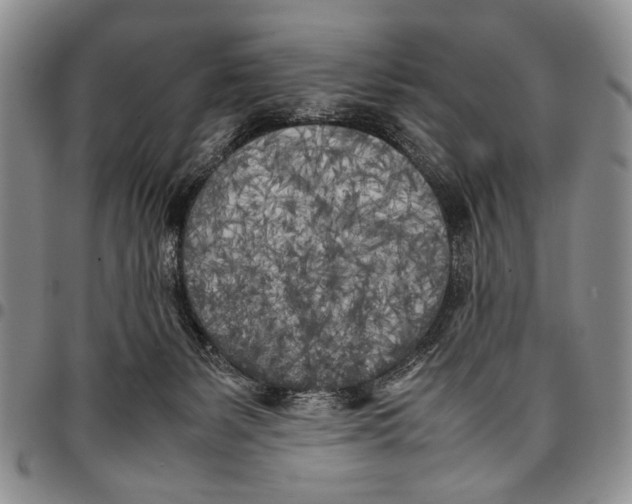 X0000096670127200803041228