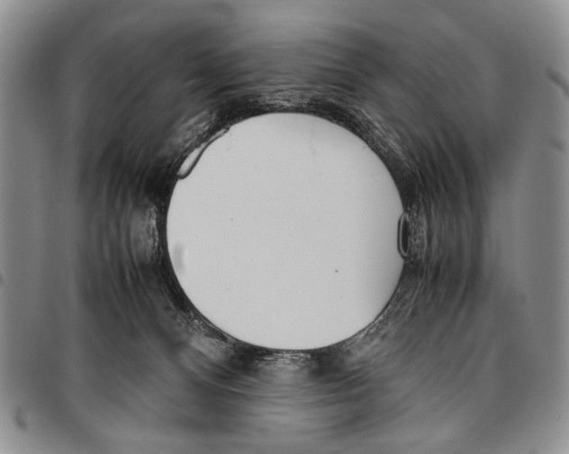 X0000096670128200803041228