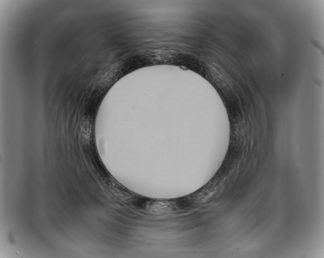 X0000096670129200803041228
