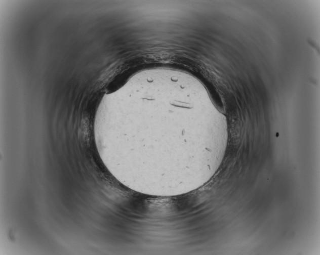 X0000096670132200803041228