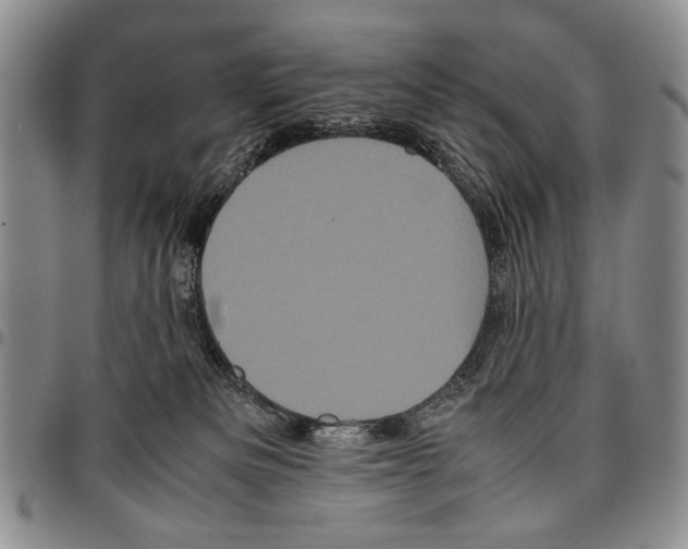X0000096670133200803041228