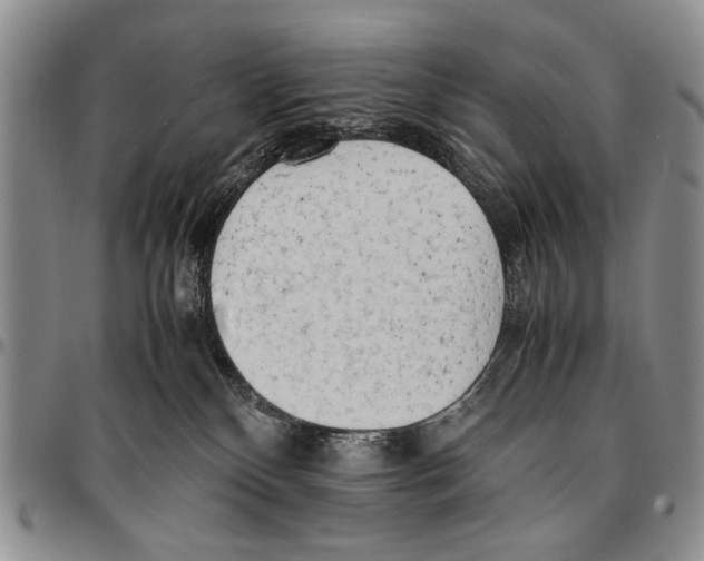 X0000096670136200803041228