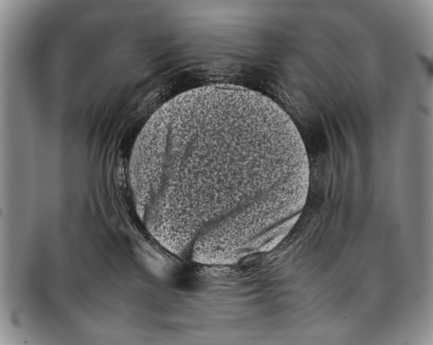 X0000096670137200803041228