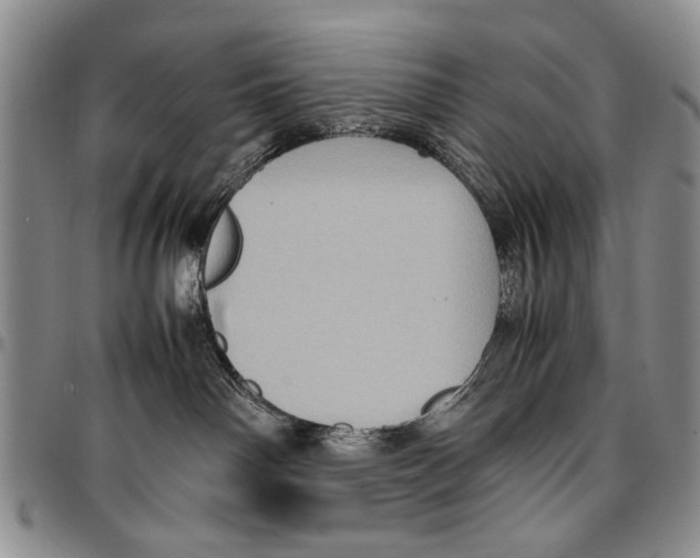X0000096670142200803041228