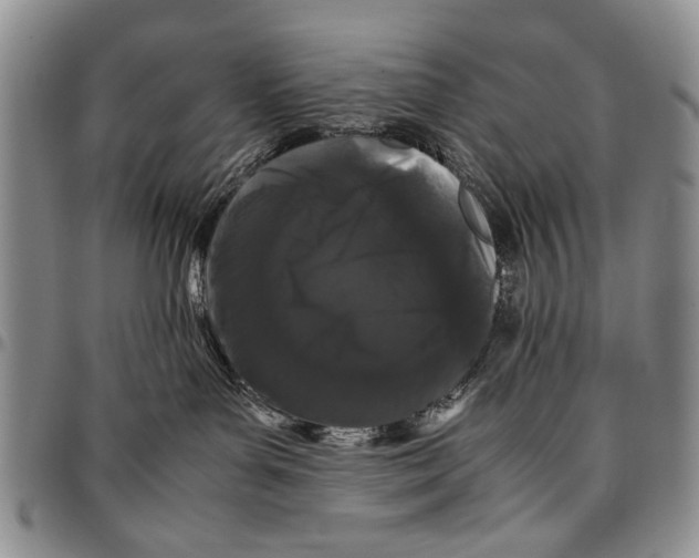 X0000096670143200803041228