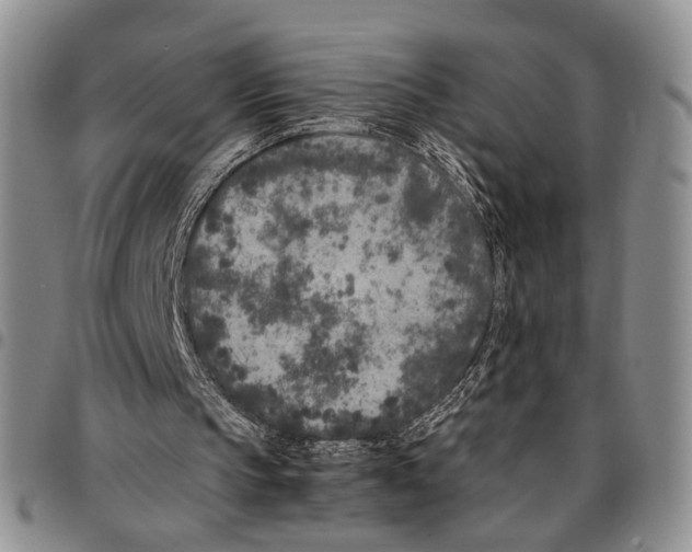 X0000096670145200803041227