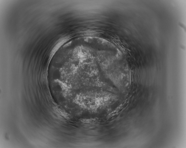 X0000096670147200803041227