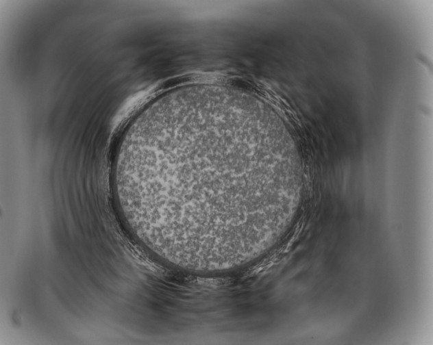 X0000096670149200803041227