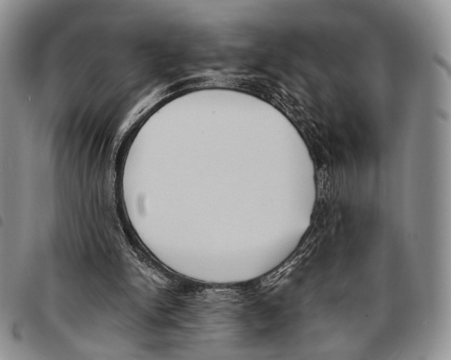 X0000096670150200803041227