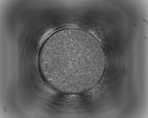 X0000096670151200803041227