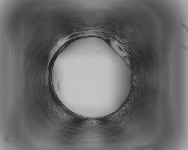 X0000096670152200803041227