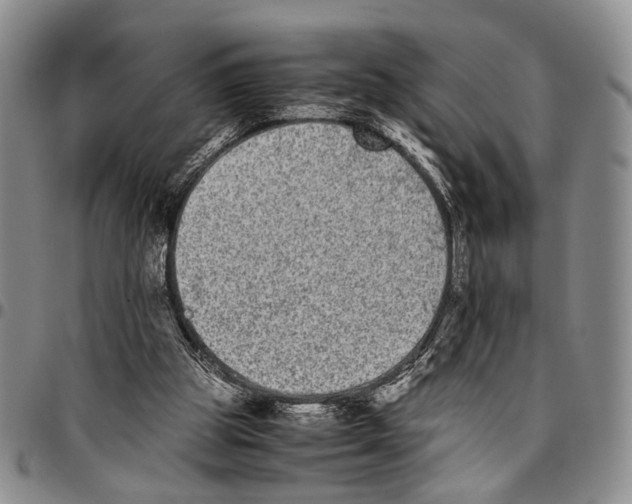 X0000096670153200803041227