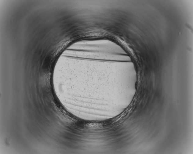 X0000096670154200803041228