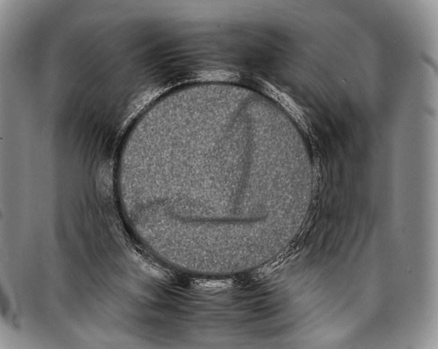 X0000096670155200803041228