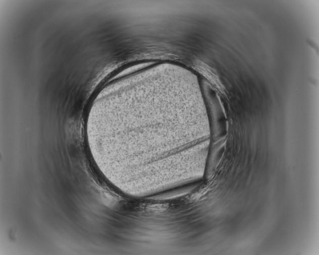 X0000096670156200803041228