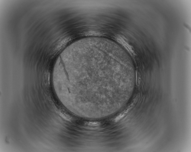 X0000096670157200803041228
