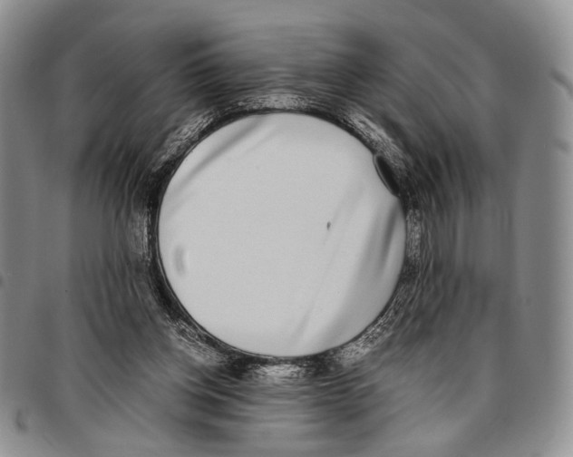 X0000096670158200803041228