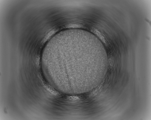 X0000096670159200803041228