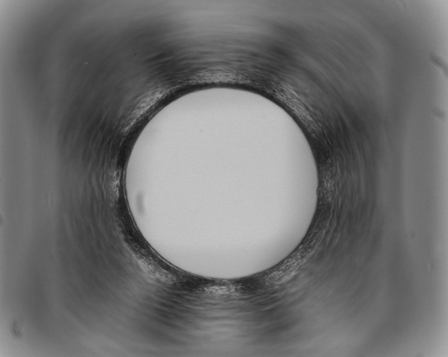 X0000096670160200803041228