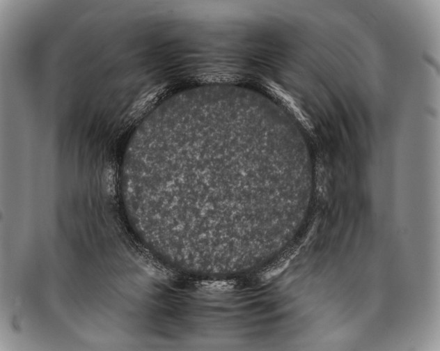 X0000096670161200803041228