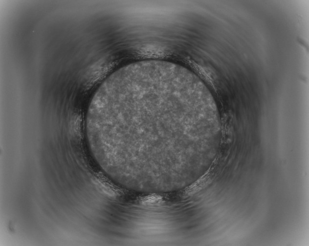 X0000096670162200803041228