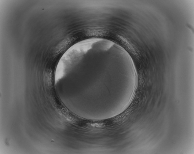 X0000096670163200803041228