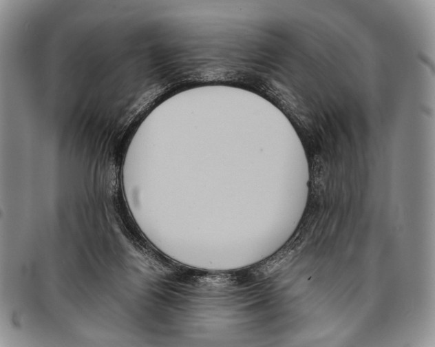 X0000096670164200803041228