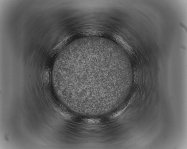 X0000096670165200803041228