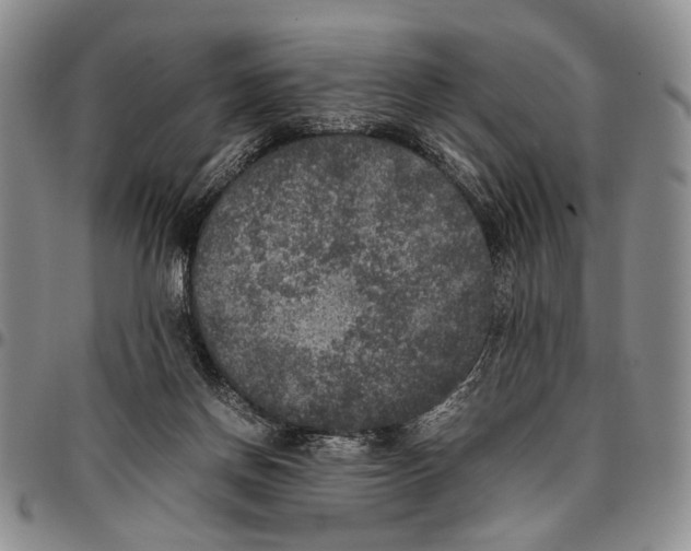 X0000096670166200803041228