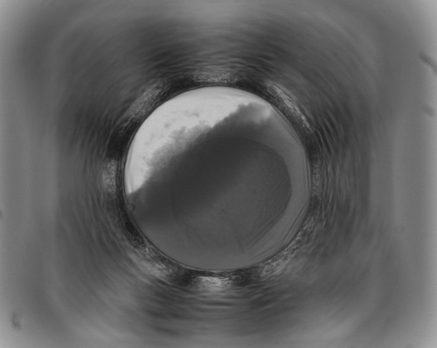 X0000096670167200803041228